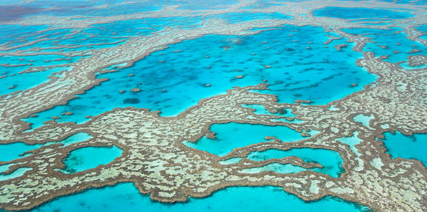 Great Barrier Reef