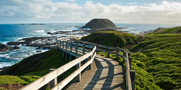Phillip Island