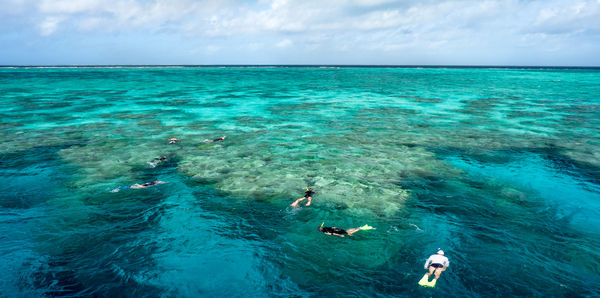Snorkelling in the reef